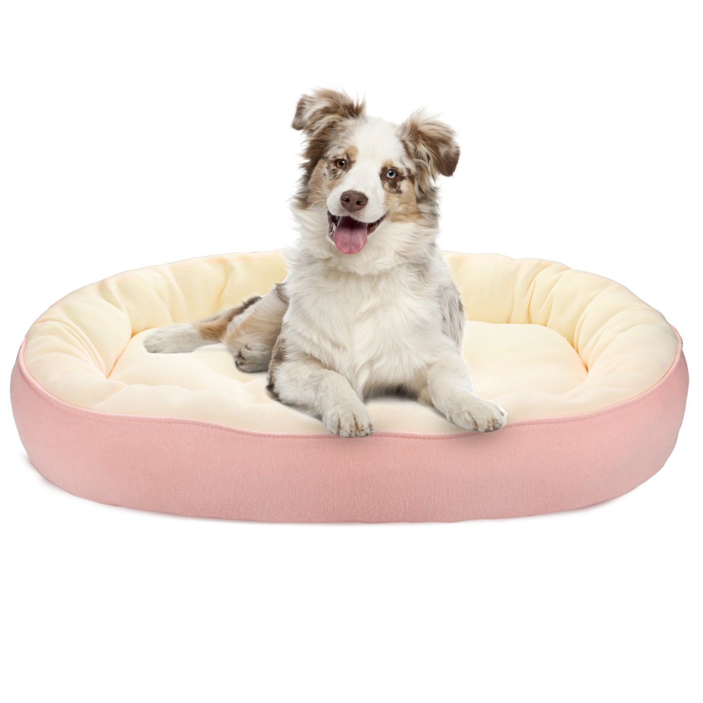 HAWSON Dog Bed for Large Medium Small Dogs,Fits up to 5- 45 lbs Medium Small Dogs and Cats(24''/30'')